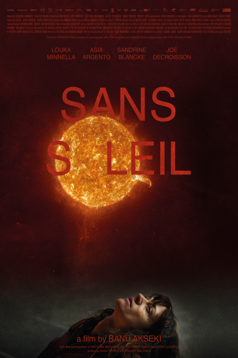Affiche du film Sans soleil